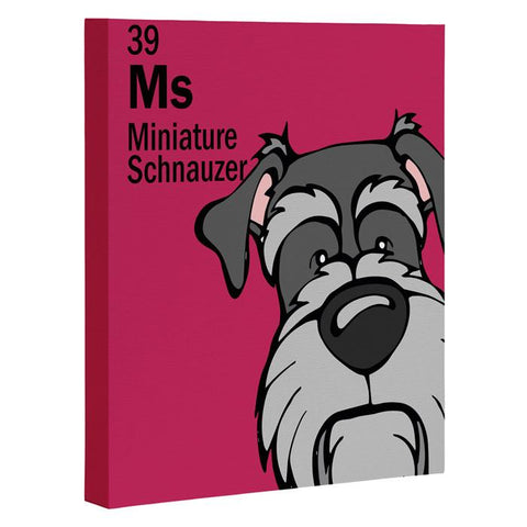 Angry Squirrel Studio Miniature Schnauzer 39 Art Canvas