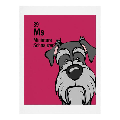 Angry Squirrel Studio Miniature Schnauzer 39 Art Print