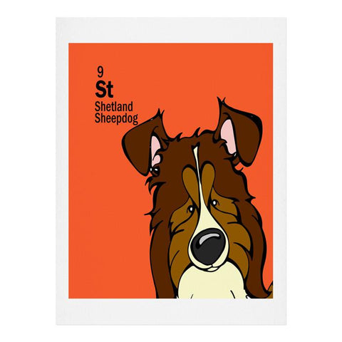 Angry Squirrel Studio Shetland Sheepdog 9 Art Print