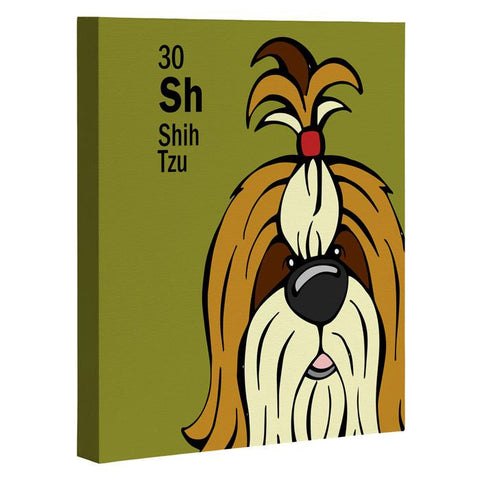 Angry Squirrel Studio Shih Tzu 30 Art Canvas