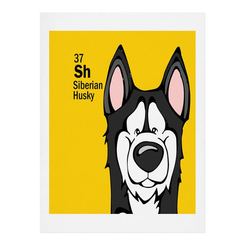 Angry Squirrel Studio Siberian Husky 37 Art Print