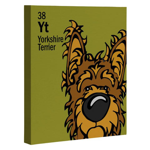 Angry Squirrel Studio Yorkshire Terrier 38 Art Canvas