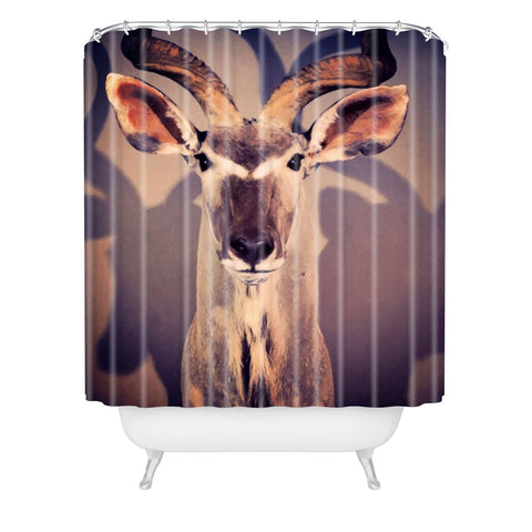 Ballack Art House Africa Shower Curtain