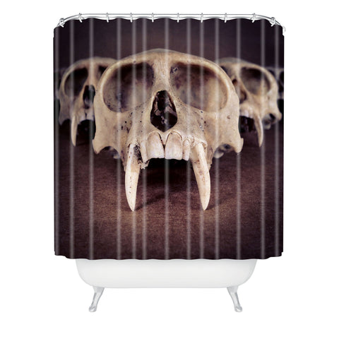 Ballack Art House Theories Of Early Man Shower Curtain