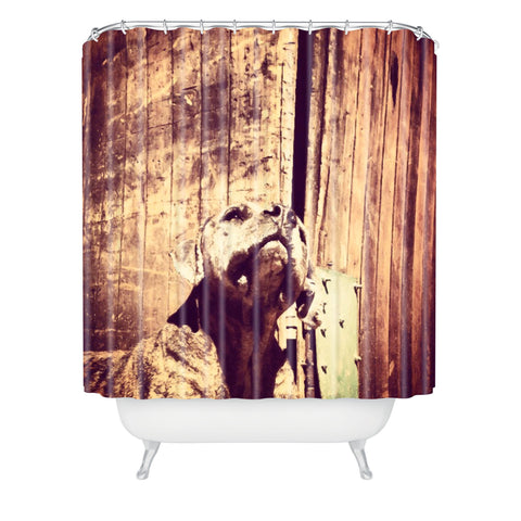 Ballack Art House Want Birds Shower Curtain