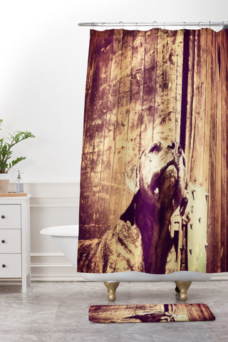 Ballack Art House Want Birds Shower Curtain And Mat