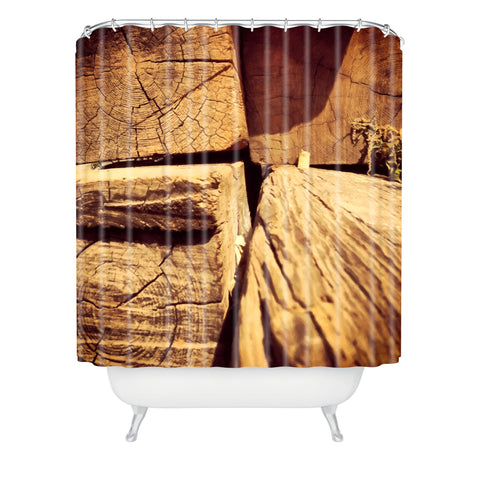 Ballack Art House Wood Play Shower Curtain