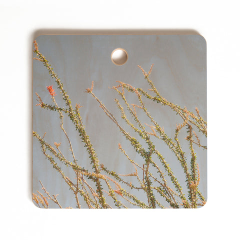 Catherine McDonald Ocotillo Blooms Cutting Board Square