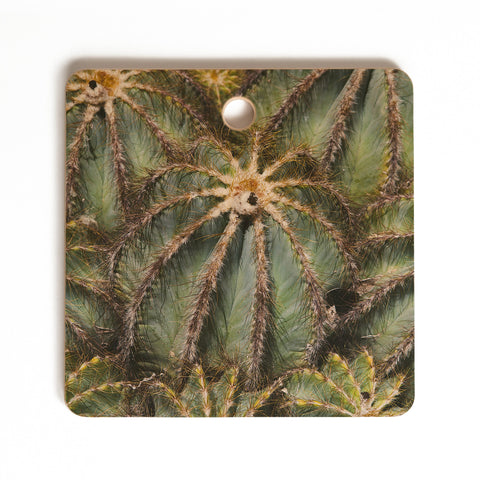 Catherine McDonald Southwest Cactus Cutting Board Square